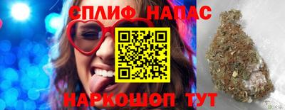 сатива Бийск