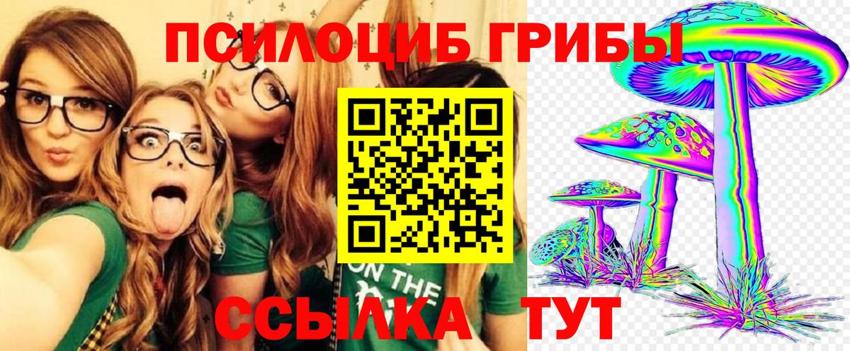 Галлюциногенные грибы ЛСД  Псилоцибиновые грибы Psilocybine cubensis  Видное  Вход с VPN 