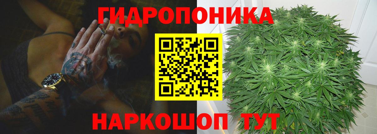 Бошки марихуана OG Kush  Марихуана SATIVA & INDICA  Вход с VPN  Бошки марихуана THC 21%  Видное 